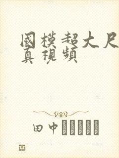 国模超大尺度写真视频