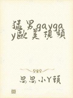 猛男gaygay欧美视频封面
