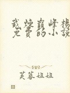 武炼巅峰杨开全免费的小说