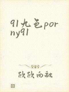 91九色porny91封面