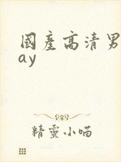 国产高清男男gay封面