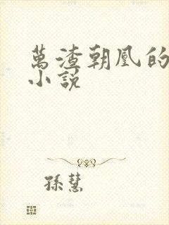 万渣朝凰的原著小说