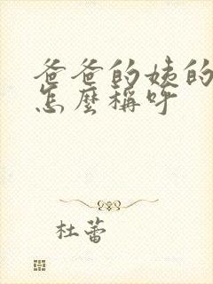 爸爸的姨的女儿怎么称呼封面