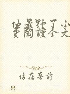 他最野了小说免费阅读全文