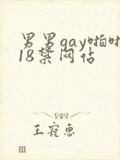 男男gay啪啪18禁网站