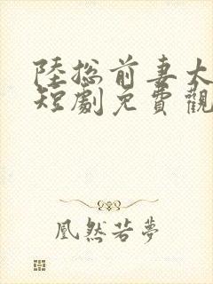 陆总前妻太傲娇短剧免费观看全集高清封面