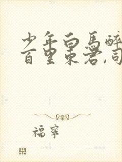 少年白马醉春风百里东君,司空长风完整版封面