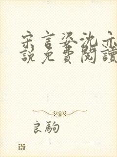 宋言姿沈亦驰小说免费阅读笔趣阁