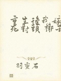 重生后我嫁给了死对头 椰子絮封面