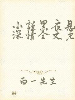 小说黑夜见过他深情全文免费阅读