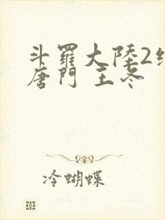 斗罗大陆2绝世唐门 王冬