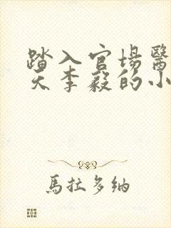 踏入官场医道问天李毅的小说