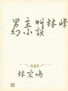 男主叫林峰的玄幻小说