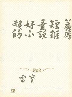 超好看短篇言情的小说推荐