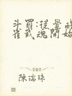 斗罗:从觉醒朱雀武魂开始