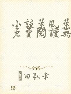 小说叶风叶紫灵免费阅读无弹窗