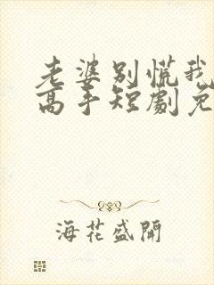 老婆别慌我全家高手短剧免费播放