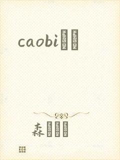 caobiС˵封面