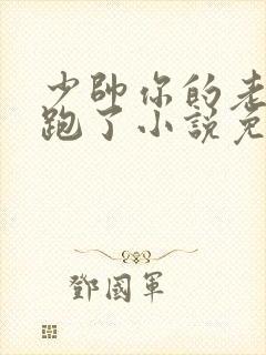 少帅你的老婆又跑了小说免费阅读