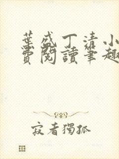 叶盛丁清小说免费阅读笔趣阁