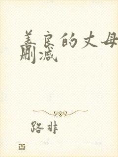 善良的丈母娘无删减