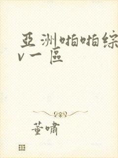 亚洲啪啪综合av一区