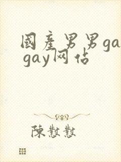 国产男男gay gay网站
