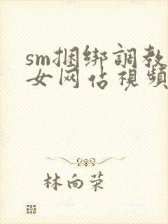 sm捆绑调教美女网站视频