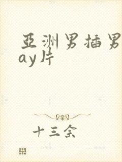 亚洲男插男同gay片封面