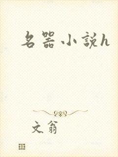 名器小说h
