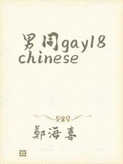 男同gay18chinese封面