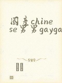 国产chinese男男gaygay网站