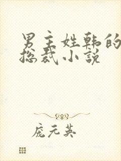 男主姓韩的霸道总裁小说