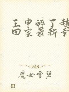 王申醉了赵振送回家最新章节免费阅封面