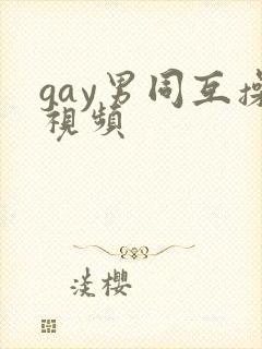 gay男同互操视频