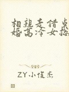 相亲走错桌,闪婚高冷女总裁