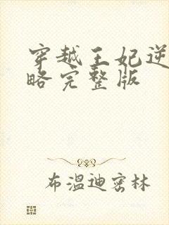 穿越王妃逆袭攻略完整版