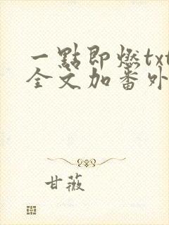 一点即燃txt全文加番外