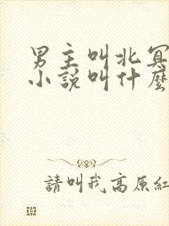 男主叫北冥夜的小说叫什么名字