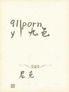 91|porny丨九色封面