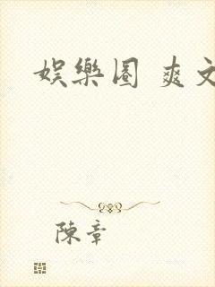 娱乐圈 爽文封面