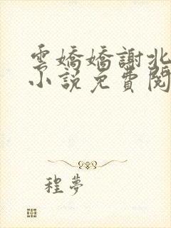 云娇娇谢北溟的小说免费阅读
