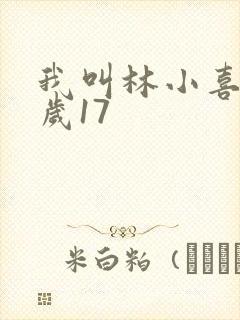 我叫林小喜今年岁17
