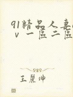 91精品人妻aⅴ一区二区封面