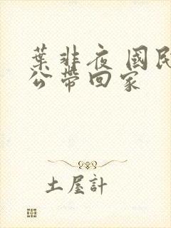 叶非夜 国民老公带回家