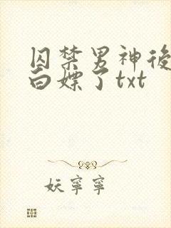 囚禁男神后我被白嫖了txt