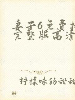 妻子6免费播放完整版高清韩剧封面