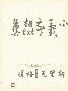 万相之王小说全集txt下载