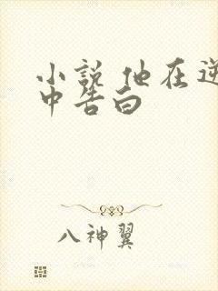 小说 他在逆光中告白