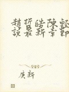 赵哲皓陈轻柔小说最新章节更新